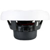 Rockford Fosgate M2D4-10S-G2