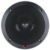 Rockford Fosgate T252-S